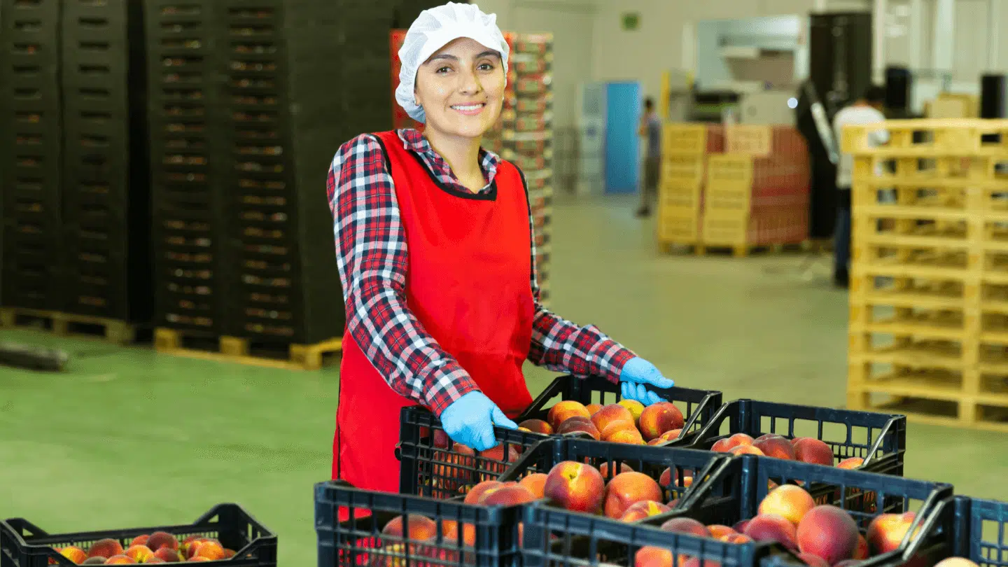 Placeholder Job Image