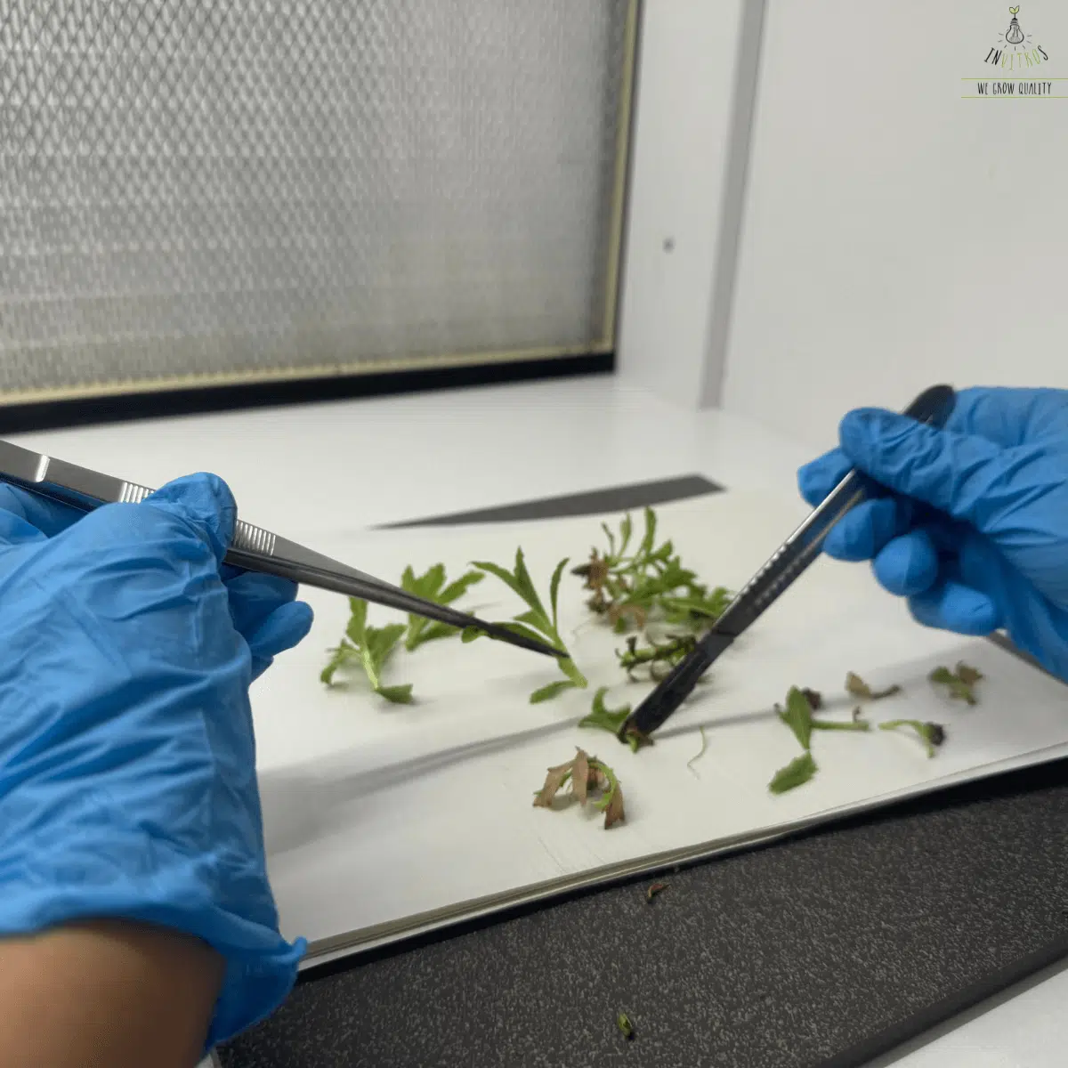 Placeholder Job Image